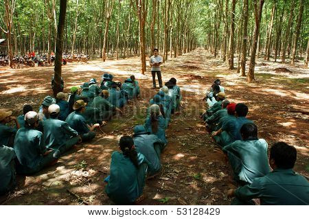 Worker Meeting At Rubber Plantation