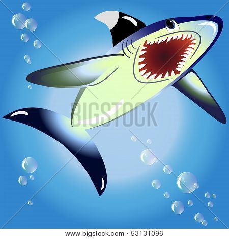 EPS10 vector illustration. shark