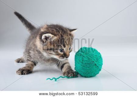 Little Kitten Playing With A Woolball
