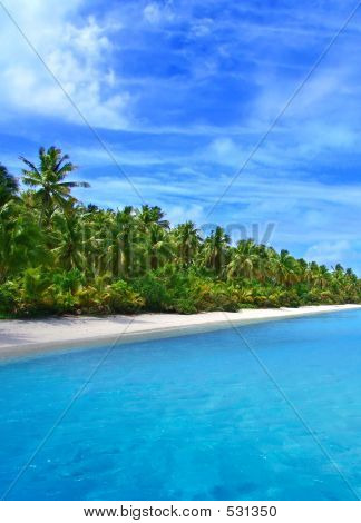 Tropical Coast