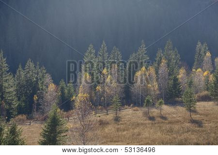 Autumn In Carpathian Mountains