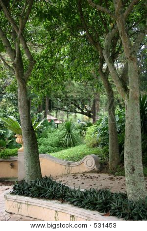 Park løv