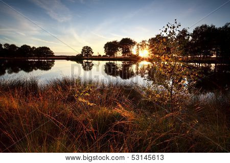 Sunbeams Through Trees By Lake