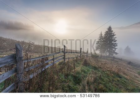 Misty Morning