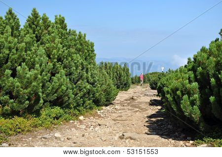 Ceahlau massif, Eastern Carpathians, Moldova, Romania