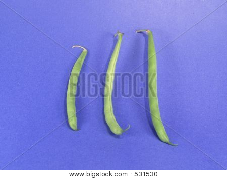 Vege номер 3 (роман)