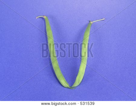 Vege номер 5 (роман)