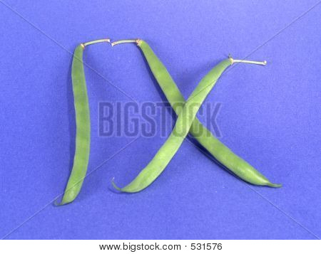 Vege номер 9 (роман)