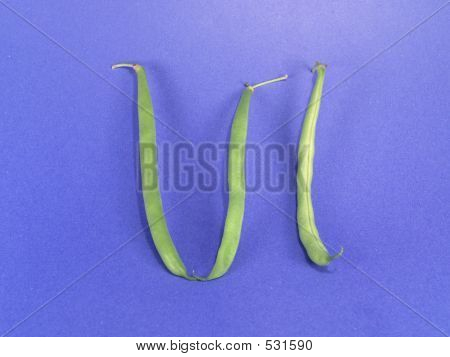 Vege номер 6 (роман)