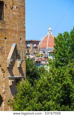 Florence City View