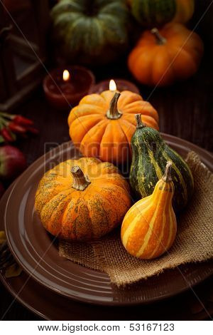 Restaurant Autumn Place Setting