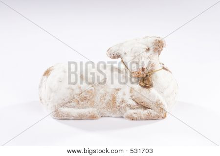 거룩한 어린 양