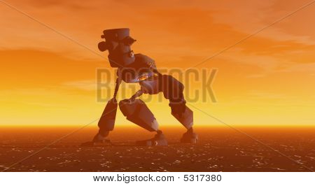 Robot