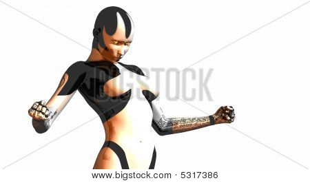Robot
