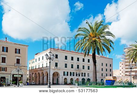Piazza D'italia Palm
