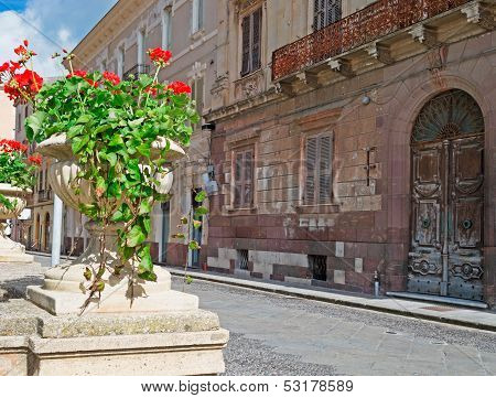 Flower Pot In Downtown