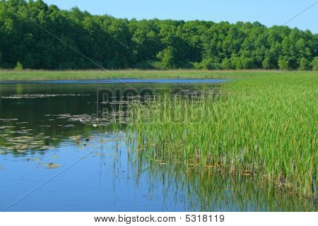 Landschaft am See