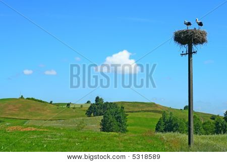 波兰人夏天风景