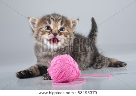 Little Kitten Playing With A Woolball