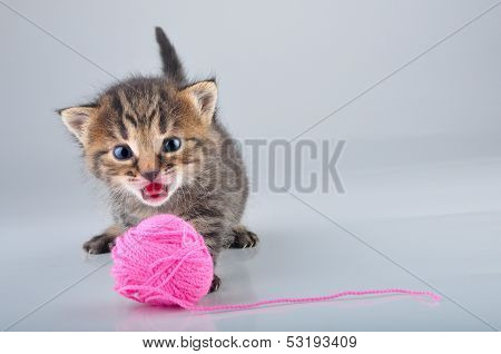Little Kitten Playing With A Woolball