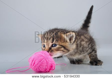Little Kitten Playing With A Woolball