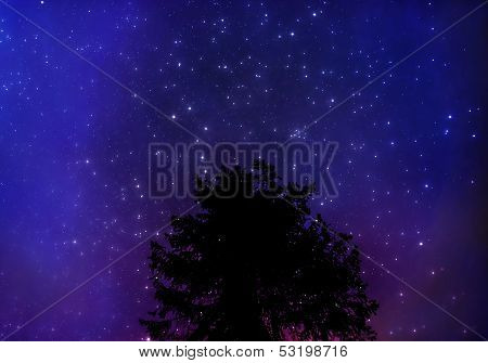 Starry Sky