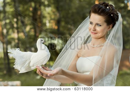 Beautiful Fiancee