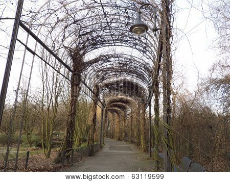 A Garden Tunnel