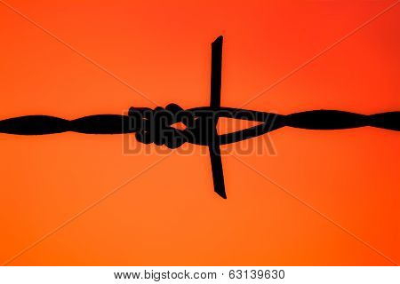 Barbed Wire