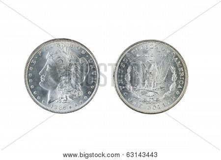Morgan Silver Dollars On White