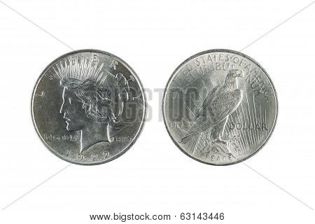Peace Silver Dollars On White