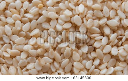 Sesame Seeds Closeup