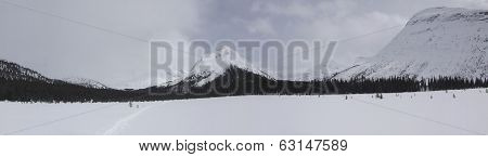 Moose Pass Panorama