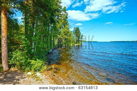 Lake Ruotsalainen Summer View (finland).