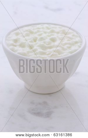 Fresh Cottage Cheese