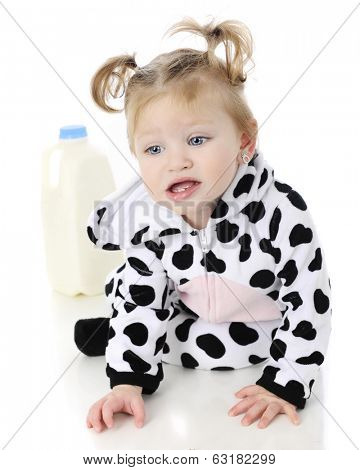 An adorable baby girl in a cow costume, unhappily crawling away in from a half-gallon of milk.  On a white background.
