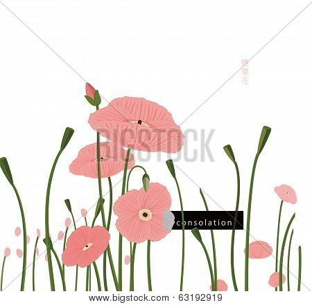 Poppy flower