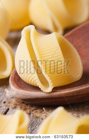 Uncooked Macaroni Lumaconi On Wooden Spoon Vertical