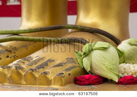 Lotus at feet of buddha