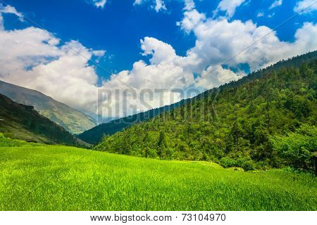 Himalayan mountains and rice field, Nepal