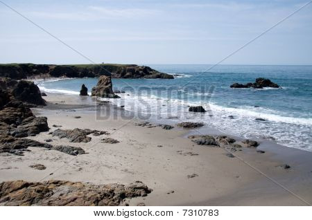 Kayalık California Sahili