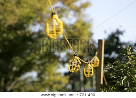 Sarı lamba