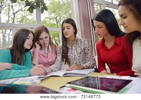 happy young teens group in school on chemisty lessons and library education