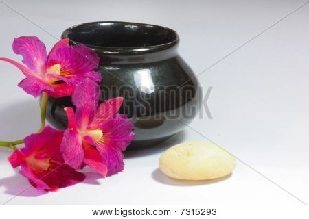 orchidée
