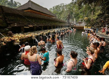 SEPTEMBER 18, 2014 - BALI, INDONESIA: Devotees bathe in the temple pool of Pura Tirta Empul in a cleansing and purification ceremony. Hinduism is the religion of the Balinese people.