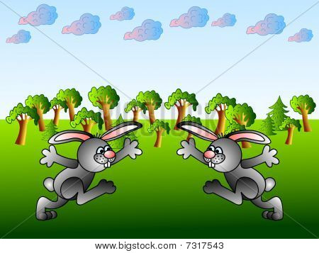 Funny  Rabbits