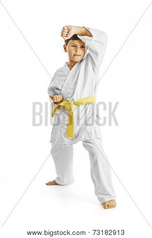 A karate kid posing, isolated on white