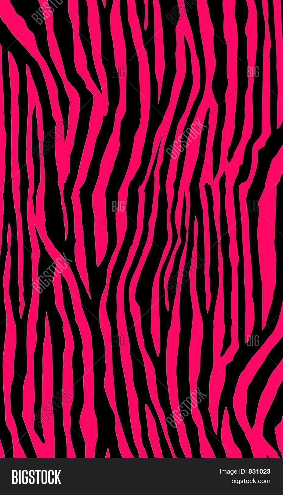 Texture Zebra Pink Stripes Image & Photo Bigstock