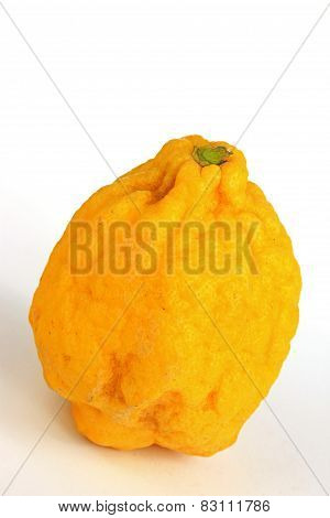 Citron (Citrus medica)