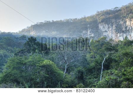 Morning Light In Tropical Canyon